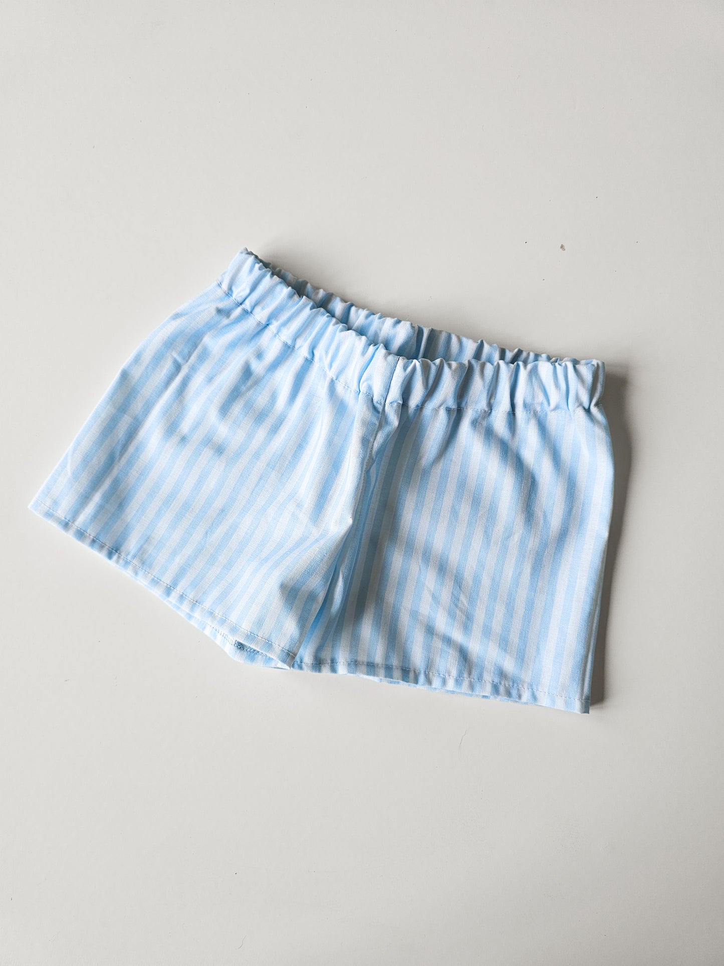 Blue on Blue Shorts